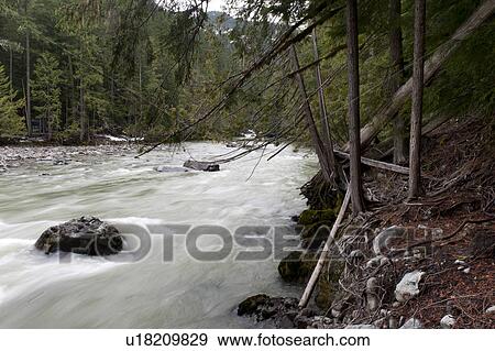 Stock Photo - River flowing through a forest, Nairn Falls Provincial Park, British Columbia, Canada. Fotosearch