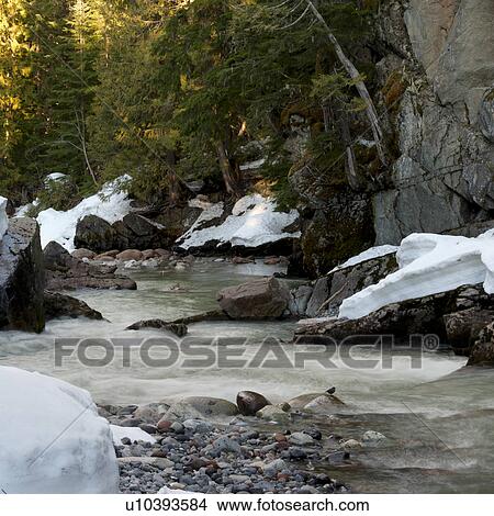 Picture - River flowing through a forest, Whistler, British Columbia, Canada. Fotosearch