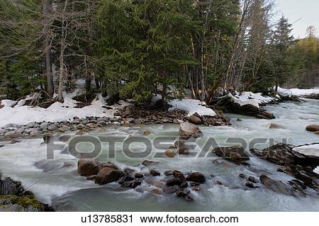 River flowing through a forest, Whistler, British Columbia, Canada View Large Photo Image Stock Image - River flowing through a forest, Whistler, British Columbia, Canada. Fotosearch