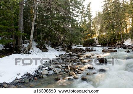 Stock Image - River flowing through a forest, Whistler, British Columbia, Canada. Fotosearch