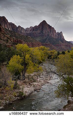 River flowing through a forest, Zion National Park, Utah, USA View Large Photo Image Stock Photo - River flowing through a forest, Zion National Park, Utah, USA. Fotosearch