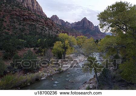 River flowing through a forest, Zion National Park, Utah, USA View Large Photo Image Stock Photograph - River flowing through a forest, Zion National Park, Utah, USA. Fotosearch