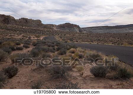 Road passing through a desert, Amangiri, Utah, USA View Large Photo Image Stock Image - Road passing through a desert, Amangiri, Utah, USA. Fotosearch