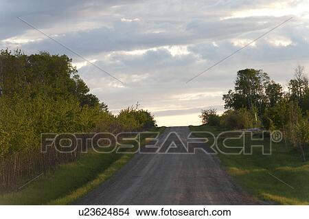 Picture - Road passing through a field, Northern Alberta, Alberta, Canada. Fotosearch