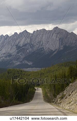 Road passing through a forest, Jasper National Park, Alberta, Canada View Large Photo Image Picture - Road passing through a forest, Jasper National Park, Alberta, Canada. Fotosearch