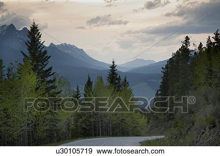 Stock Photo - Road passing through a forest, Jasper National Park, Alberta, Canada. Fotosearch