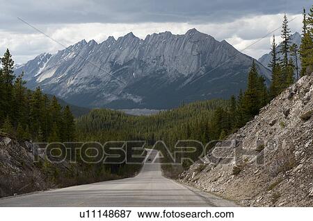 Road passing through a forest, Maligne Lake Road, Jasper National Park, Alberta, Canada View Large Photo Image Stock Photo - Road passing through a forest, Maligne Lake Road, Jasper National Park, Alberta, Canada. Fotosearch