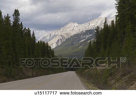 Stock Photo - Road passing through a forest, Maligne Lake Road, Jasper National Park, Alberta, Canada. Fotosearch