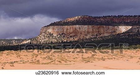 Stock Photograph - Rock formations in a desert, Coral Pink Sand Dunes State Park, Utah, USA. Fotosearch