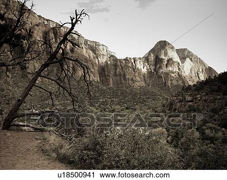 Rock formations in a national park, Zion National Park, Utah, USA View Large Photo Image Stock Image - Rock formations in a national park, Zion National Park, Utah, USA. Fotosearch