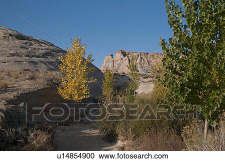 Rock formations on a landscape, Utah, USA View Large Photo Image Stock Image - Rock formations on a landscape, Utah, USA. Fotosearch