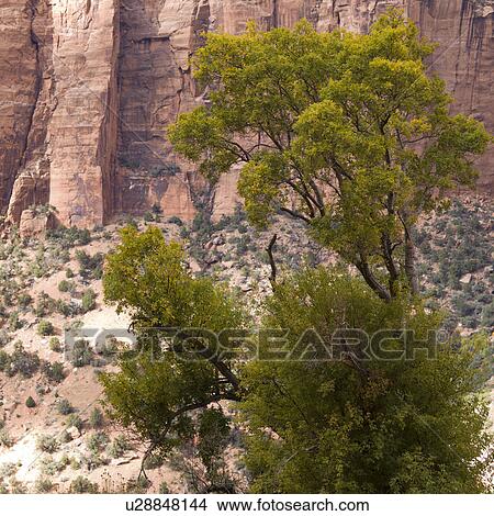 Rock formations on a landscape, Zion National Park, Utah, USA View Large Photo Image Picture - Rock formations on a landscape, Zion National Park, Utah, USA. Fotosearch