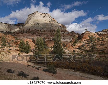Rock formations on a landscape, Zion National Park, Utah, USA View Large Photo Image Stock Image - Rock formations on a landscape, Zion National Park, Utah, USA. Fotosearch