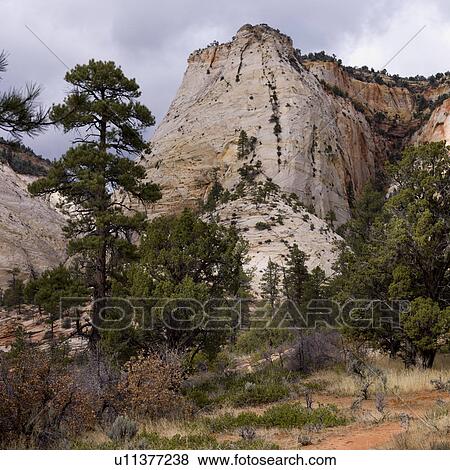 Stock Photo - Rock formations, Zion National Park, Utah, USA. Fotosearch