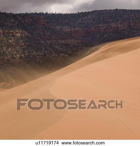 Sand dunes in a desert, Coral Pink Sand Dunes State Park, Utah, USA View Large Photo Image Picture - Sand dunes in a desert, Coral Pink Sand Dunes State Park, Utah, USA. Fotosearch