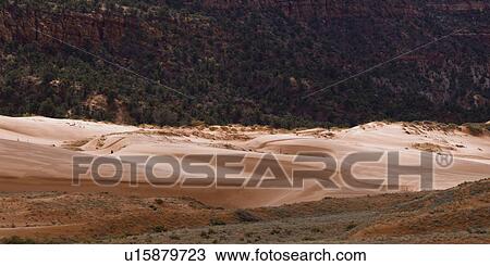 Stock Image - Sand dunes in a desert, Coral Pink Sand Dunes State Park, Utah, USA. Fotosearch