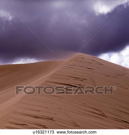 Sand dunes in a desert, Coral Pink Sand Dunes State Park, Utah, USA View Large Photo Image Stock Image - Sand dunes in a desert, Coral Pink Sand Dunes State Park, Utah, USA. Fotosearch