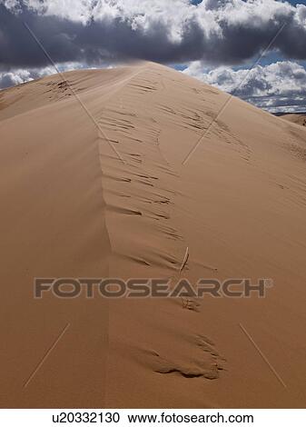 Sand dunes in a desert, Coral Pink Sand Dunes State Park, Utah, USA View Large Photo Image Stock Image - Sand dunes in a desert, Coral Pink Sand Dunes State Park, Utah, USA. Fotosearch