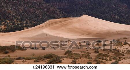 Sand dunes in a desert, Coral Pink Sand Dunes State Park, Utah, USA View Large Photo Image Stock Image - Sand dunes in a desert, Coral Pink Sand Dunes State Park, Utah, USA. Fotosearch