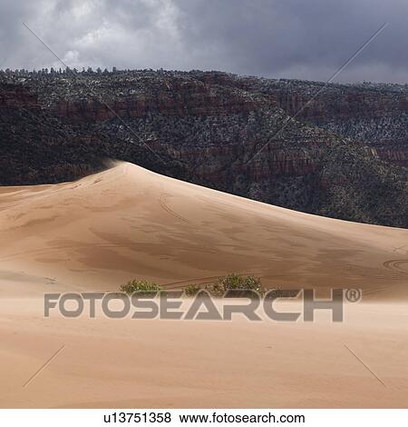Sand dunes in a desert, Coral Pink Sand Dunes State Park, Utah, USA View Large Photo Image Stock Photo - Sand dunes in a desert, Coral Pink Sand Dunes State Park, Utah, USA. Fotosearch