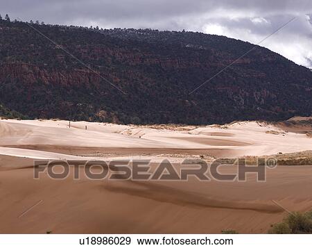 Stock Photo - Sand dunes in a desert, Coral Pink Sand Dunes State Park, Utah, USA. Fotosearch