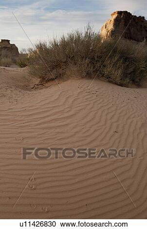 Sand dunes in a desert, Glen Canyon National Recreation Area, Glen Canyon Dam, Arizona-Utah, USA View Large Photo Image Stock Image - Sand dunes in a desert, Glen Canyon National Recreation Area, Glen Canyon Dam, Arizona-Utah, USA. Fotosearch