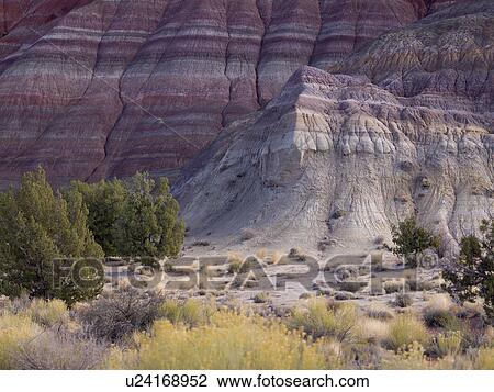 Stock Image - Sandstone cliffs, Paria Canyon, Paria, Kane County, Utah, USA. Fotosearch