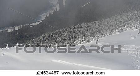 Ski resort, Whistler, British Columbia, Canada View Large Photo Image Stock Photo - Ski resort, Whistler, British Columbia, Canada. Fotosearch
