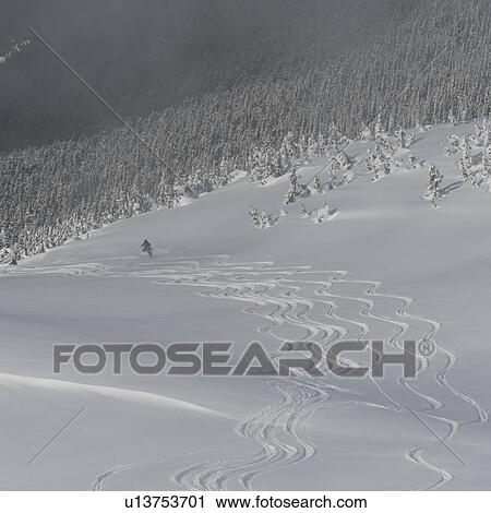 Stock Image - Ski tracks in snow, Whistler, British Columbia, Canada. Fotosearch