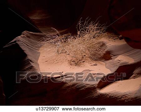 Slot canyon, Tse Bighanilini, Upper Antelope Canyon, Antelope Canyon, Page, Arizona, USA View Large Photo Image Stock Photo - Slot canyon, Tse Bighanilini, Upper Antelope Canyon, Antelope Canyon, Page, Arizona, USA. Fotosearch