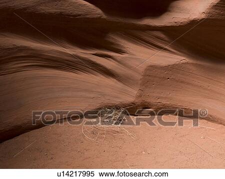 Stock Photography - Slot canyon, Tse Bighanilini, Upper Antelope Canyon, Antelope Canyon, Page, Arizona, USA. Fotosearch
