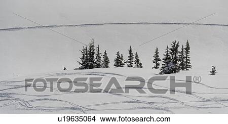 Picture - Snow covered mountain, Sun Bowl, Whistler, British Columbia, Canada. Fotosearch