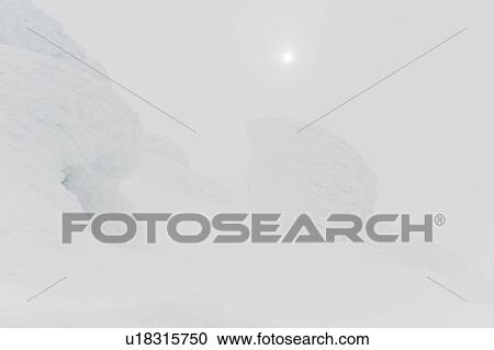 Snow covered mountain, Whistler Mountain, Whistler, British Columbia, Canada View Large Photo Image Stock Image - Snow covered mountain, Whistler Mountain, Whistler, British Columbia, Canada. Fotosearch