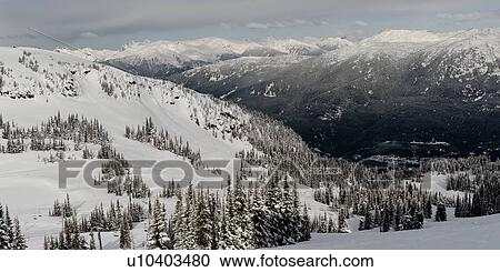Stock Image - Snow covered trees with mountains, Whistler, British Columbia, Canada. Fotosearch