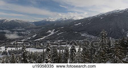 Snow covered trees with mountains, Whistler, British Columbia, Canada View Large Photo Image Stock Photography - Snow covered trees with mountains, Whistler, British Columbia, Canada. Fotosearch