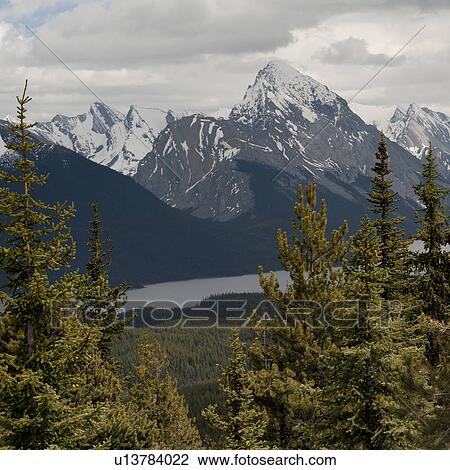 Stock Image - Snowcapped mountains, Bald Hills, Jasper National Park, Alberta, Canada. Fotosearch