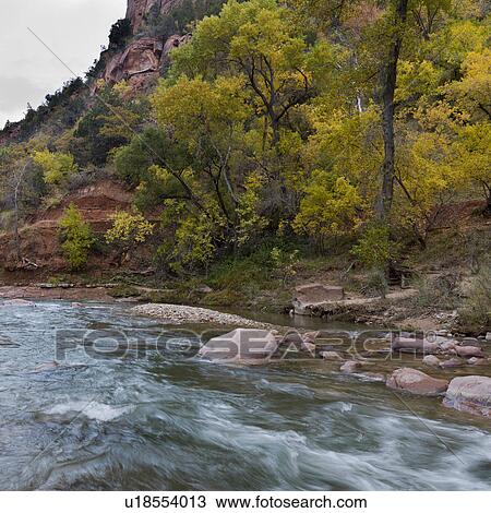 Stock Image - Stream flowing through a forest, Zion National Park, Utah, USA. Fotosearch