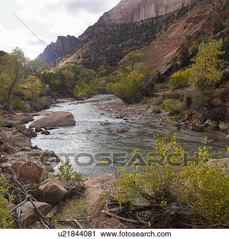 Stock Image - Stream flowing through a forest, Zion National Park, Utah, USA. Fotosearch