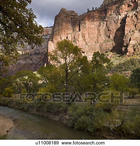 Stream flowing through a forest, Zion National Park, Utah, USA View Large Photo Image Stock Photo - Stream flowing through a forest, Zion National Park, Utah, USA. Fotosearch