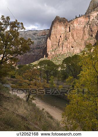 Stream flowing through a forest, Zion National Park, Utah, USA View Large Photo Image Stock Photo - Stream flowing through a forest, Zion National Park, Utah, USA. Fotosearch