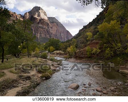 Stream flowing through a forest, Zion National Park, Utah, USA View Large Photo Image Stock Photo - Stream flowing through a forest, Zion National Park, Utah, USA. Fotosearch