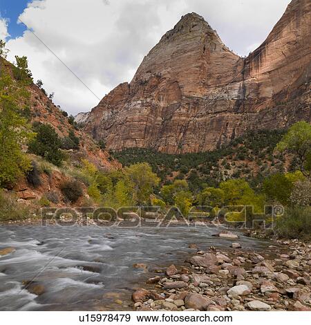 Stream flowing through a forest, Zion National Park, Utah, USA View Large Photo Image Stock Photo - Stream flowing through a forest, Zion National Park, Utah, USA. Fotosearch