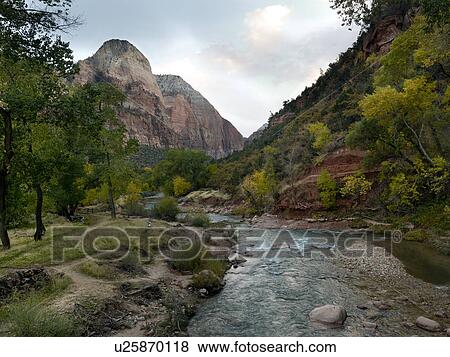 Stream flowing through a forest, Zion National Park, Utah, USA View Large Photo Image Stock Photo - Stream flowing through a forest, Zion National Park, Utah, USA. Fotosearch