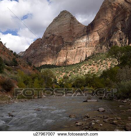 Stream flowing through a forest, Zion National Park, Utah, USA View Large Photo Image Stock Photo - Stream flowing through a forest, Zion National Park, Utah, USA. Fotosearch