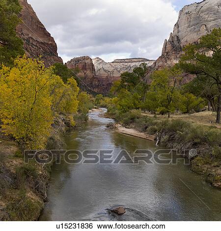 Stock Photograph - Stream flowing through a forest, Zion National Park, Utah, USA. Fotosearch