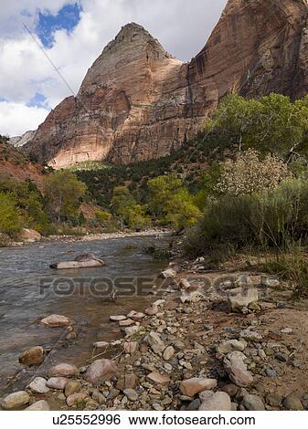 Stream flowing through a forest, Zion National Park, Utah, USA View Large Photo Image Stock Photograph - Stream flowing through a forest, Zion National Park, Utah, USA. Fotosearch