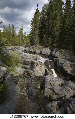Stream flowing through forest, Maligne Canyon, Jasper National Park, Alberta, Canada View Large Photo Image Stock Photo - Stream flowing through forest, Maligne Canyon, Jasper National Park, Alberta, Canada. Fotosearch