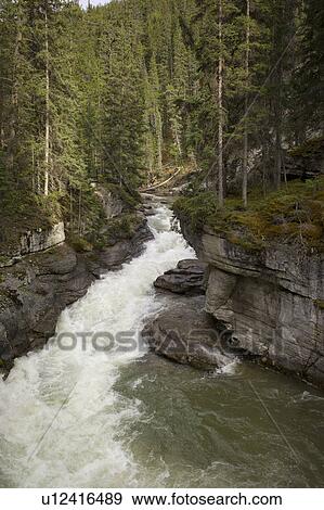 Stream flowing through forest, Maligne Canyon, Jasper National Park, Alberta, Canada View Large Photo Image Stock Photo - Stream flowing through forest, Maligne Canyon, Jasper National Park, Alberta, Canada. Fotosearch
