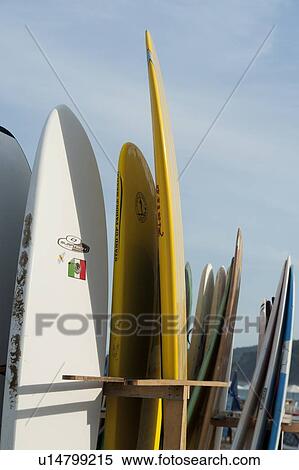 Surfboards on the beach, Sayulita, Nayarit, Mexico View Large Photo Image Stock Photography - Surfboards on the beach, Sayulita, Nayarit, Mexico. Fotosearch