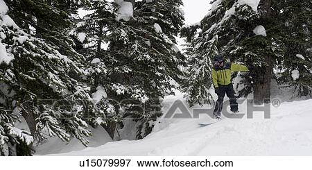 Tourist snowboarding, Symphony Amphitheatre, Whistler, British Columbia, Canada View Large Photo Image Stock Photo - Tourist snowboarding, Symphony Amphitheatre, Whistler, British Columbia, Canada. Fotosearch